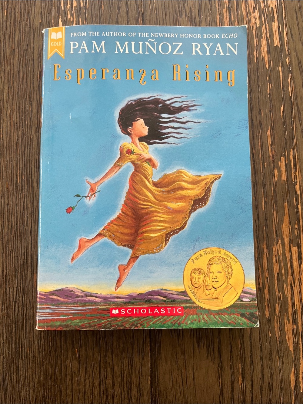 Scholastic Esperanza Rising – Blue & Gold Illustrated Cover
